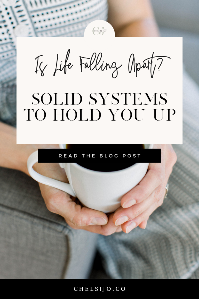 Systems To Sustain You Through Hard Times With Systemize To Scale Student Pauli Hannan Williams Chelsijo.co